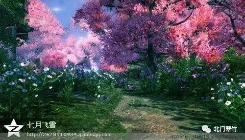 九江双蒸的古风新韵