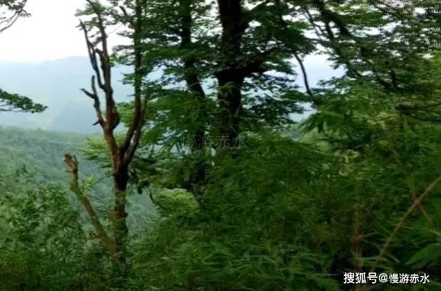 矮人国之战3