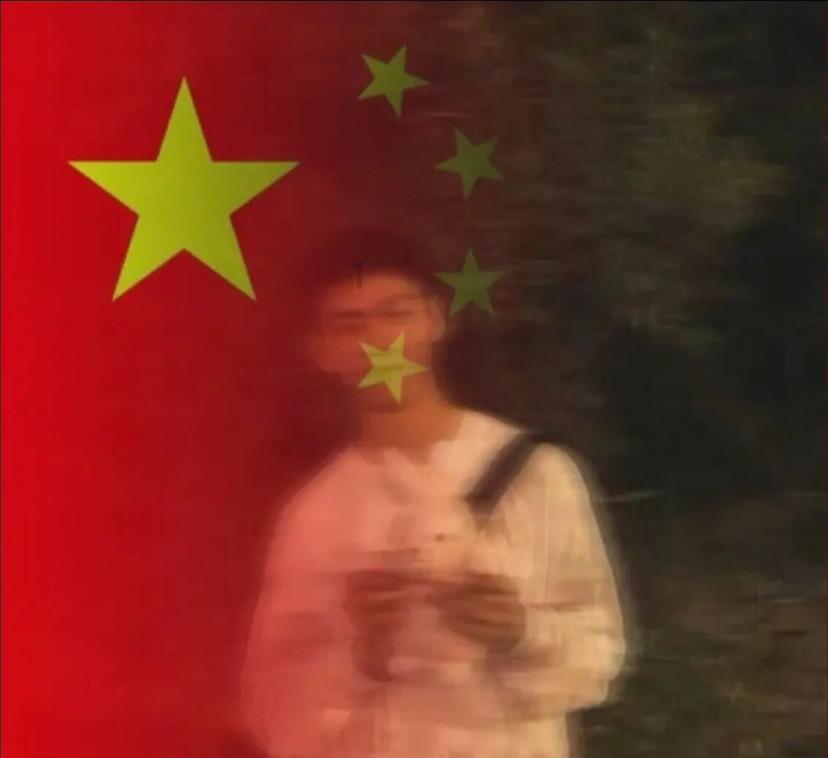中国最高树上发现50余种高等植物，这项发现会带来哪些影响？游戏画面
