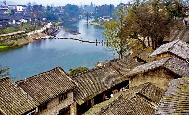 中国最高树上发现50余种高等植物，这项发现会带来哪些影响？游戏画面